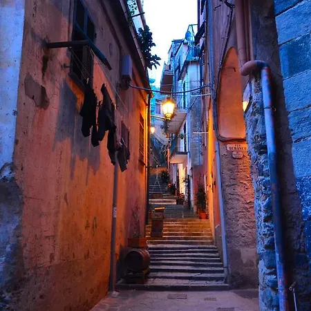 Levre De Cuppi